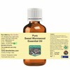 Devprayag Pure Sweet Wormwood Essential Oil (Artemisia annua) Natural Therapeutic