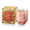 ILLUME Memory Lane Brandied Pear Boxed Glass Candle