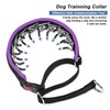 Martingale No Pull Dog Collar - Heavy Duty Nylon With
