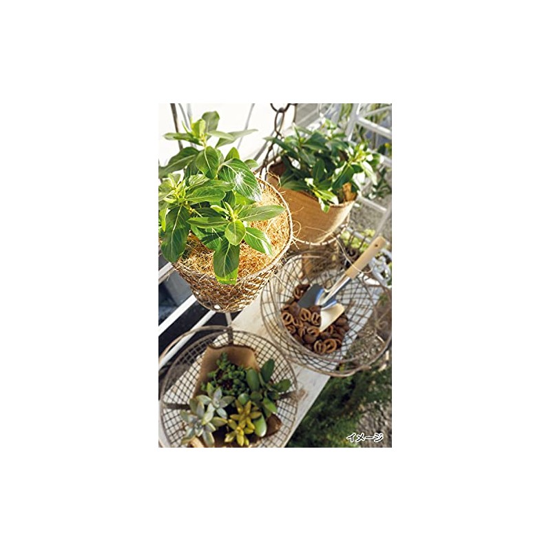 Posh Living 63424 Pot Cover Hanging Pot Cover M Size