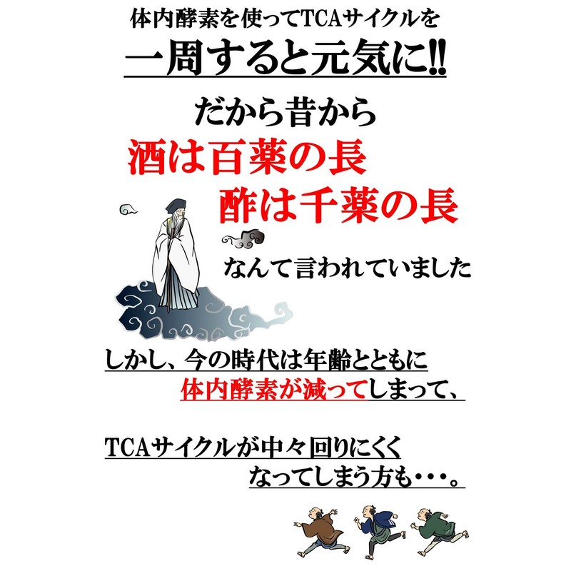 つかれず粉 170g お試し クエン酸 サプリ 【説明書付】TRAUM (2袋セット)