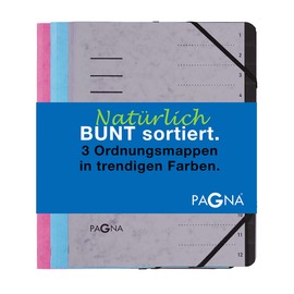 Pagna Pagna Ordnungsmappenset 12 Fächer Trend sortiert, Set mit 3 Stück, hellblau, hellgrau , dunkelrosa