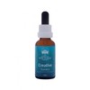 Australian Bush Flower Essences Buy Australian Bush Flower Essences Creative Essence 30ml Online | Chempro Chemists