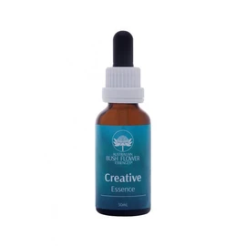 Australian Bush Flower Essences Buy Australian Bush Flower Essences Creative Essence 30ml Online | Chempro Chemists