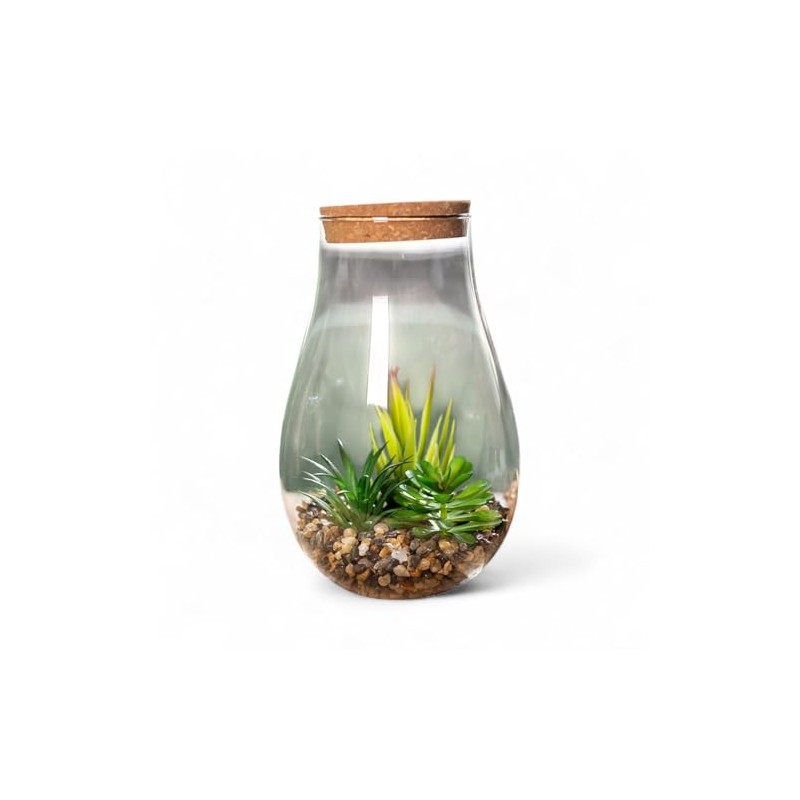 Artificial Succulent Mix in Glass with Lid 13 x 22