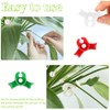 40 Pcs Plant Training Clips, Low Stress Training Clips for