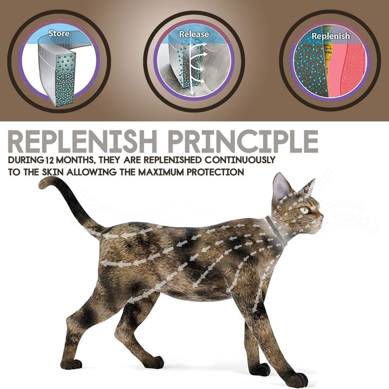 HDP Latex Dog Squeaker Bone toy Size:Small/Med Packs:Pack of 3