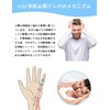 Pokumil Snoring Prevention Ring, Sleep Goods, 3 Sizes, Ring, Snoring