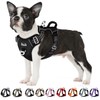 Eyein No Pull Dog Harness Medium, Comfortable Heavy Duty Pet