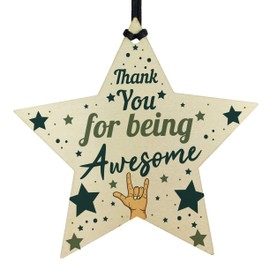 RED OCEAN Thank You For Being Awesome Thank You Gift For Teacher Mentor Teaching Assistant Friendship Plaque Star