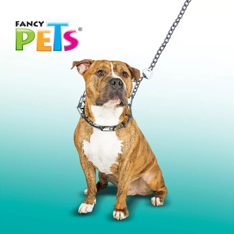 Fancy Pets Collar De Entrenamiento Para Perro Con Puas 4.0