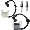 JDLLONG Left and Right Ignition Coils for Honda GX670 GX620