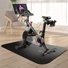 Exercise Bike & Treadmill Mat for Carpet/Hardwood Floors - Noise-Reducing
