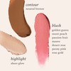 Julep Skip The Brush Cream to Powder Blush Stick -