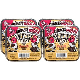C&S Nutty Treat Bird Suet for Wild Birds, 11.75 Ounces Each (4)