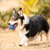 Gigwi Ball Pelota Para Perros Masticable Super Resistente Color Naranja