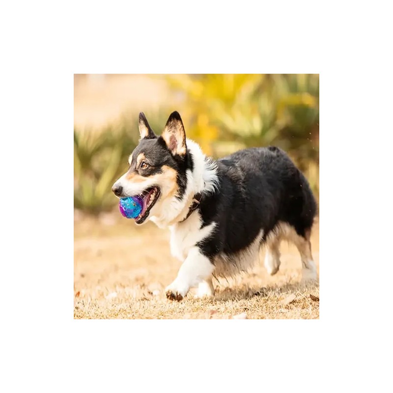 Gigwi Ball Pelota Para Perros Masticable Super Resistente Color Naranja