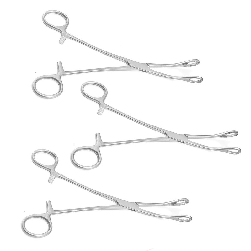 PRECISE CANADA: 3 PCS Stainless Steel Sponge Holding Forceps 7.5"