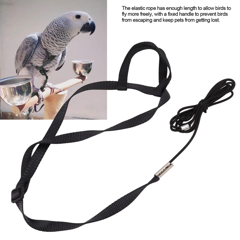 Bird Harness Leash for Parrot, Adjustable Bird Harness Parrot Flying