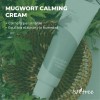Isntree Mugwort Calming Cream 50ml