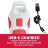 Chapin 75004: 1-Liter USB-C Battery Powered Electric Sprayer, Rechargeable, Portable