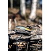 Rapala - Maxrap Walk'n Roll Fishing Lure Construction ABS -