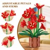 PLAXSOON Amaryllis Flowers Bonsai Building Set, Botanical Collection Building Block,