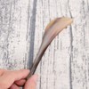 Healifty Guasha Scraping Massage Tool Ox Horn Trigger Point Gua