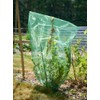 1 Fruit Protection Bag with Drawstring, for Protection Against Wasp