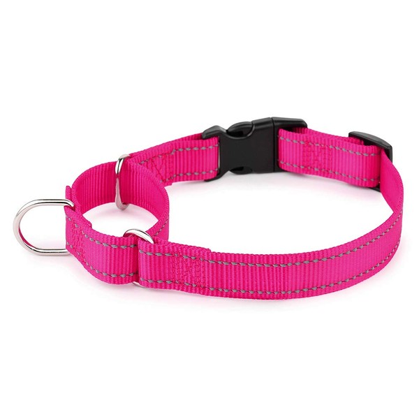 PLUTUS PET Reflective Martingale Collar with Quick Snap Buckle,No Pull