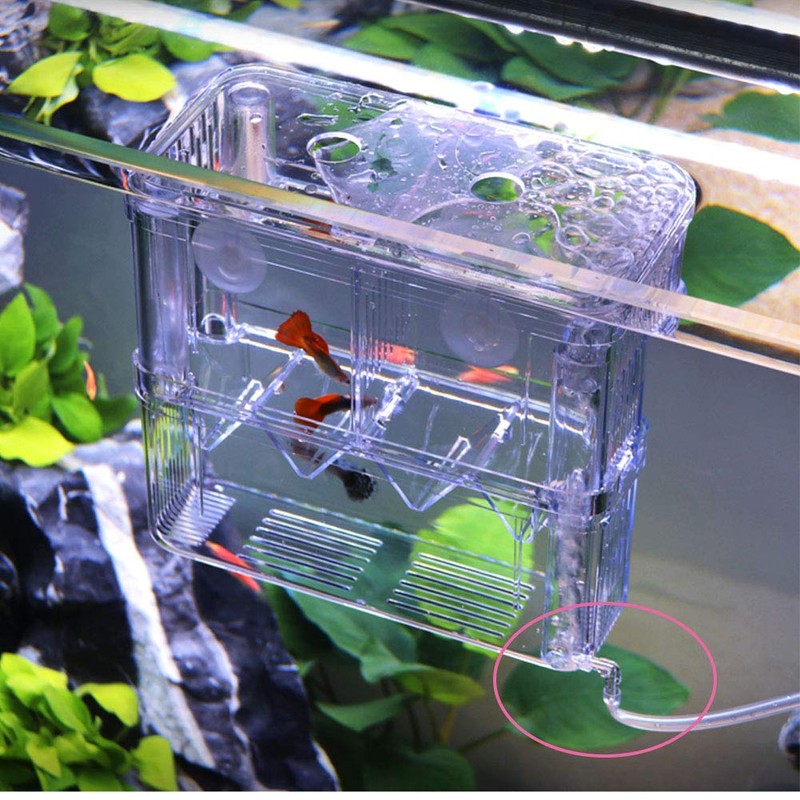 Tiberham Fish Breeding Box, Acrylic Floating Fish Hatchery Isolation Box,