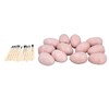 12 Set Dinosaur Egg Dig Kit Dinosaur Egg Excavation Kit