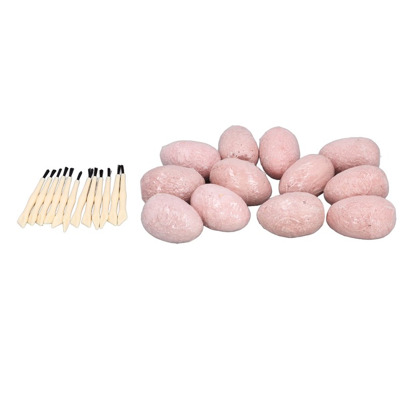 12 Set Dinosaur Egg Dig Kit Dinosaur Egg Excavation Kit