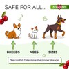 AlfaLovePets Cat & Dog UTI Treatment | Kidney Support for