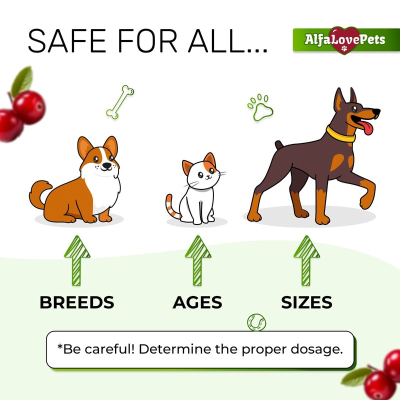 AlfaLovePets Cat & Dog UTI Treatment | Kidney Support for
