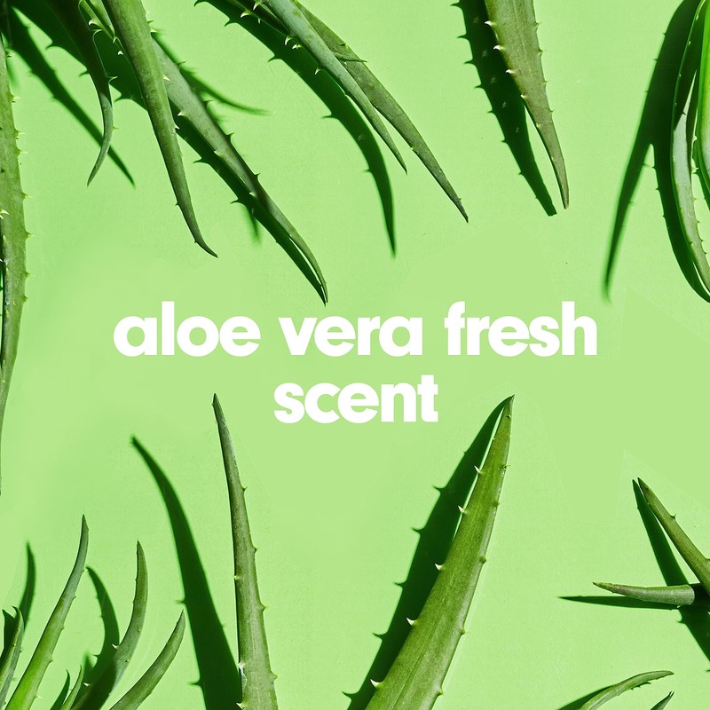 Softsoap Softsoap Liquid Hand Soap Refill, Soothing Clean, Aloe Vera