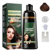 Champú para Teñir el Cabello,Champú para Cubrir Las Canas 500ml