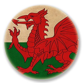 2 x 10cm/100mm Wales Welsh Flag Window Cling Sticker Car Van Campervan Glass #6632