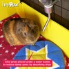 HAYPIGS Guinea Pig Toys and Accessories - Circus Themed Fleece