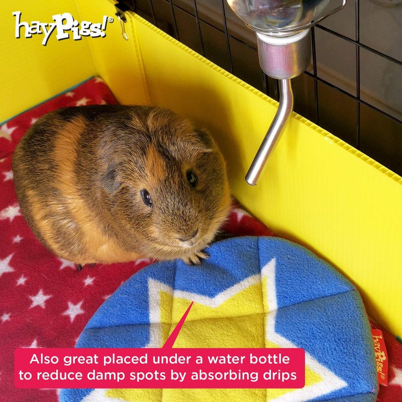 HAYPIGS Guinea Pig Toys and Accessories - Circus Themed Fleece