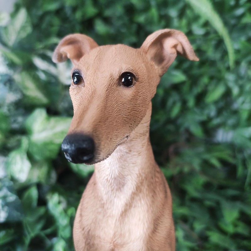 Vivid Arts - Whippet - XRL-WHIP-D