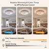 Ceiling Fans with Lights, 20'' Ceiling Fans with Lights and