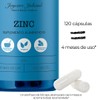 Zinc 120 Suplemento alimenticio, 120 cápsulas vegetales