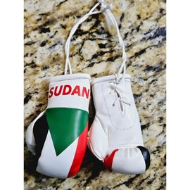 Country Flag Mini Boxing Gloves For Hanging - Country: Sudan 🇸🇩