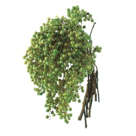 Daichi Farm DO003380-710 Preserved Flowers, Pepperberry, Preserved, Light Green, Approx. 9.8 - 11.8 inches (25 - 30 cm), 1.9 oz (55 g)