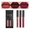 Kit Lápiz Labial Líquido Mate De Larga Impermeabl Y Duración