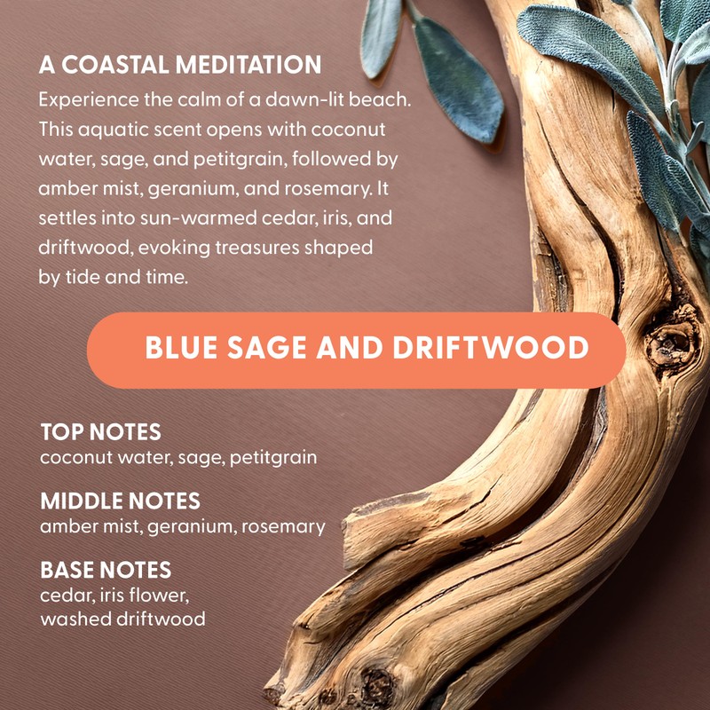 Natural Laundry Detergent Pods - Blue Sage & Driftwood |