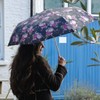 Fulton Minilite-2 Umbrella, Compact Folding, Light Travel Umbrella (Delicate Floral)