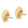 Solid 14k Yellow Gold Shell Post Studs Earrings (10mm x
