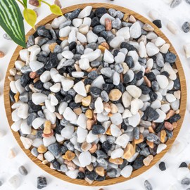 Sukh Mixed Color Pebbles for Succulent and Cactus - 420G 1/5 Inch Succulent Cactus Gravel Pebbles,Natural Decorative Polished River Stones,Small Rocks for Outdoor Gardening,Vases,Landscaping,Fish Tank